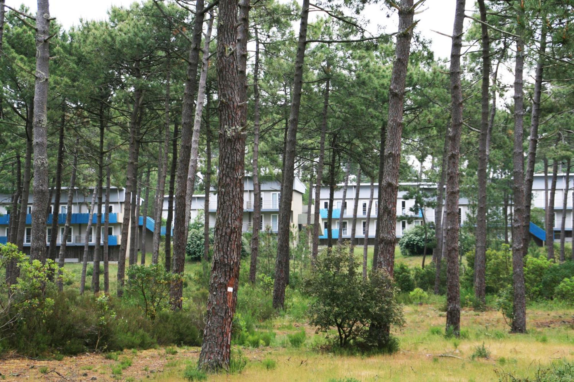 Village Vacances Les Dunes - Domaine de Bombannes Carcans Extérieur photo
